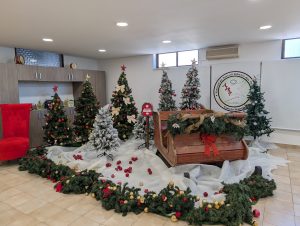 aluguer de cenario natal