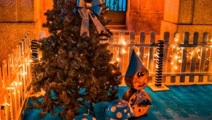 Aluguer de material de decoração para eventos