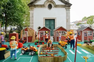 Animação e decoração eventos