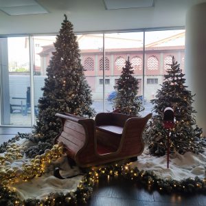 aluguer de cenarios de natal
