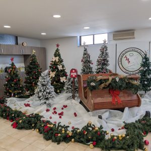 aluguer de treno de natal